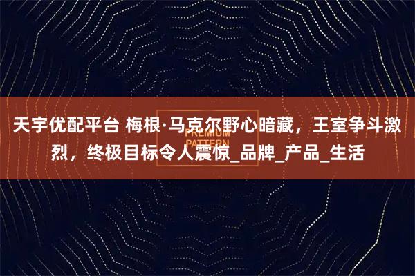 天宇优配平台 梅根·马克尔野心暗藏，王室争斗激烈，终极目标令人震惊_品牌_产品_生活