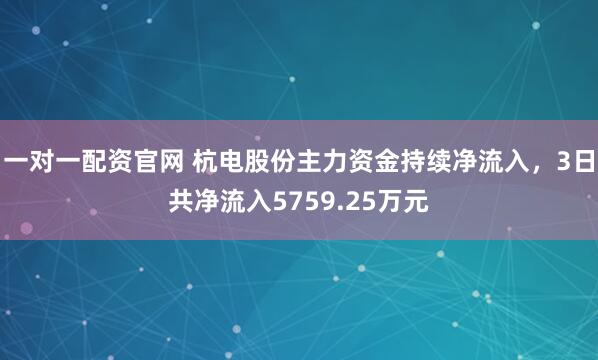 一对一配资官网 杭电股份主力资金持续净流入，3日共净流入5759.25万元